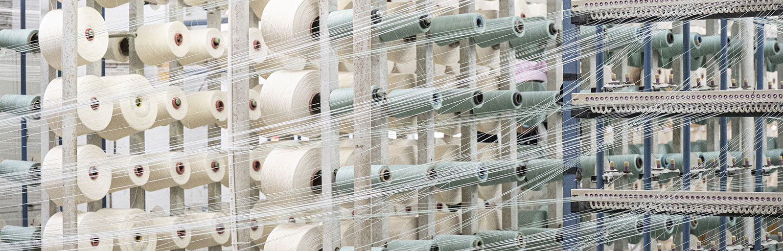 Dream Princess-Chinese weaving Export quality