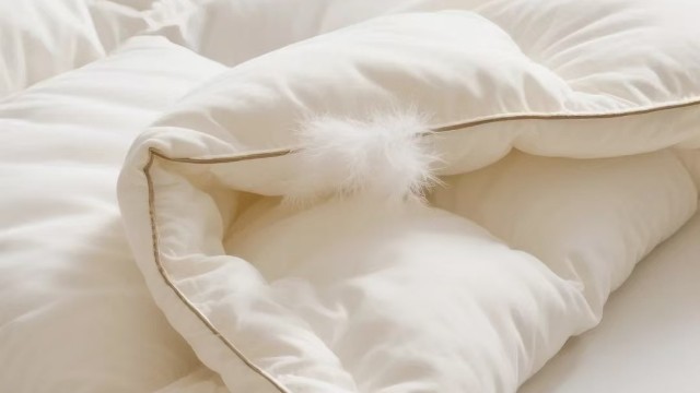 From "Hard to please everyone" to "just right" : Solving the problem of hotel quilt cores with material advantages