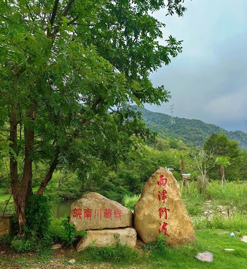 微信图片_20250711091910